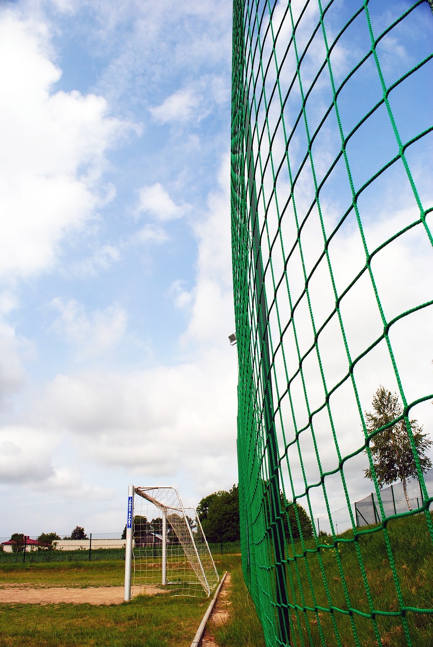 火记：谢泼德在进攻端火力十足，未来将牢牢占据火箭的首发