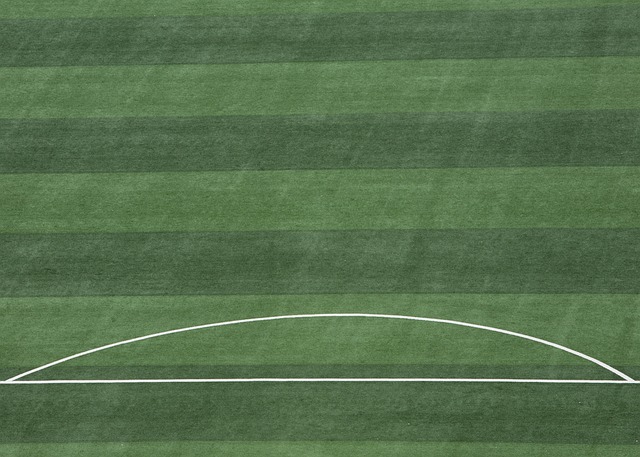 NBA战报：科沃德23分14板，灰熊107-98击败快船