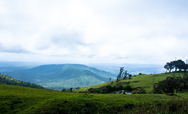 加維的故事 加維的故事