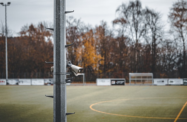 让现场观众 让现场观众