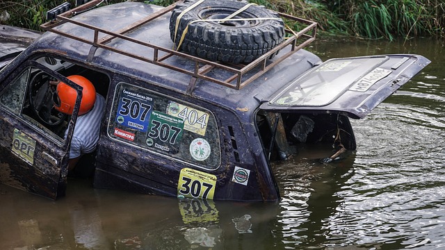 法国队要想 法国队要想