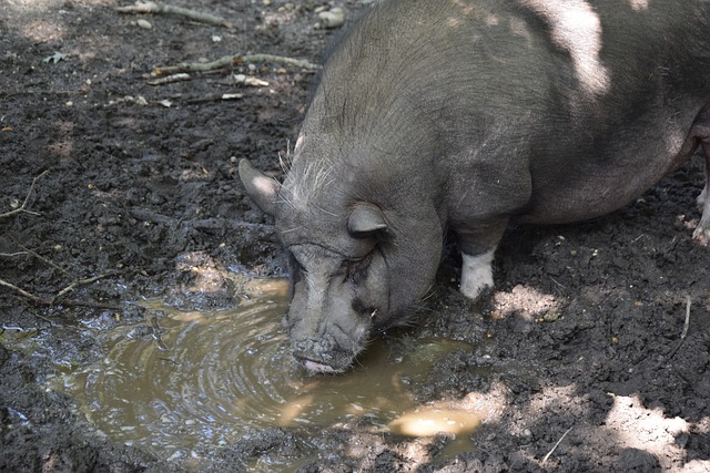 用了更为灵 用了更为灵